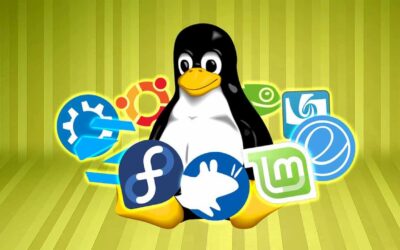 Linux 5.1 Advances Performance and Security With New Features