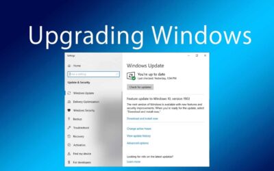 Microsoft Opens Windows 10 May 2019 Update Availability To All Users Manually Checking Windows Update