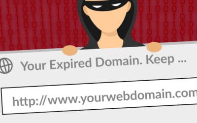 Don’t Let Crooks Hijack Your Domain